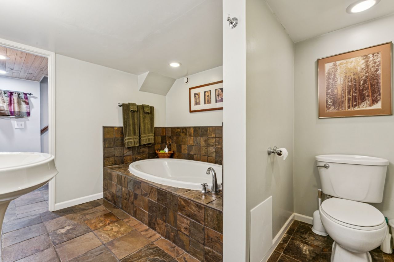 1204 Oday Rock Hill Basement Bathroom
