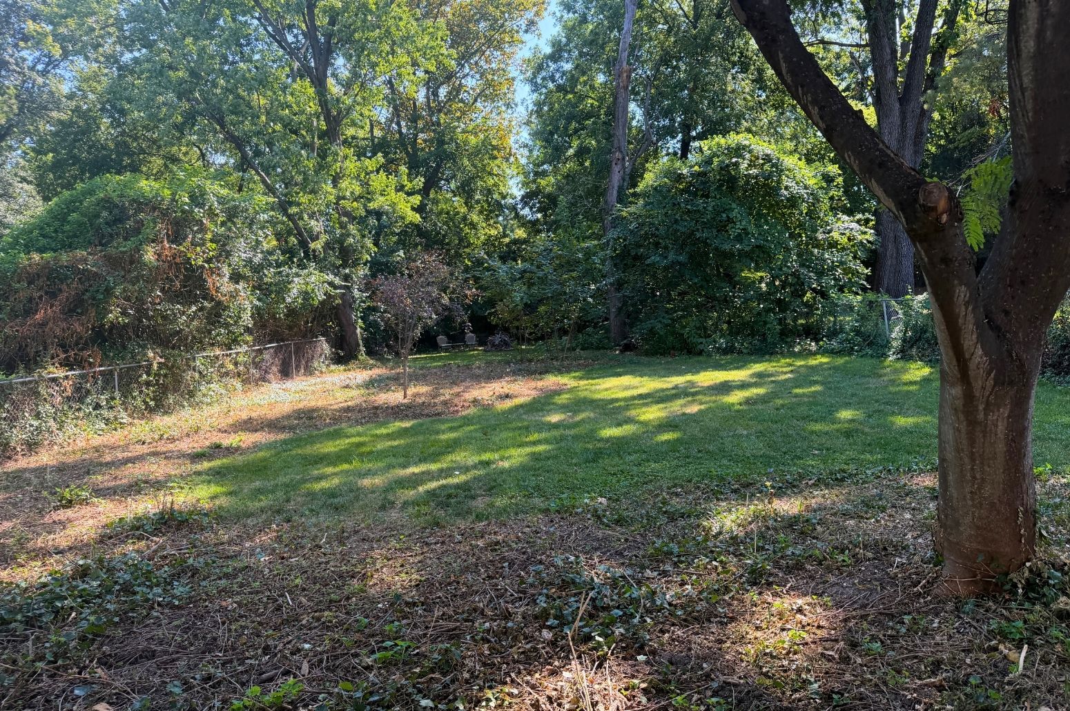 1204 Oday back yard in Rock Hill Webster Groves School District