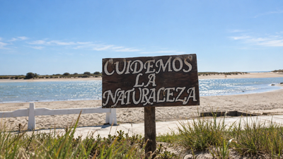 Cuidemos la naturaleza junto al mar