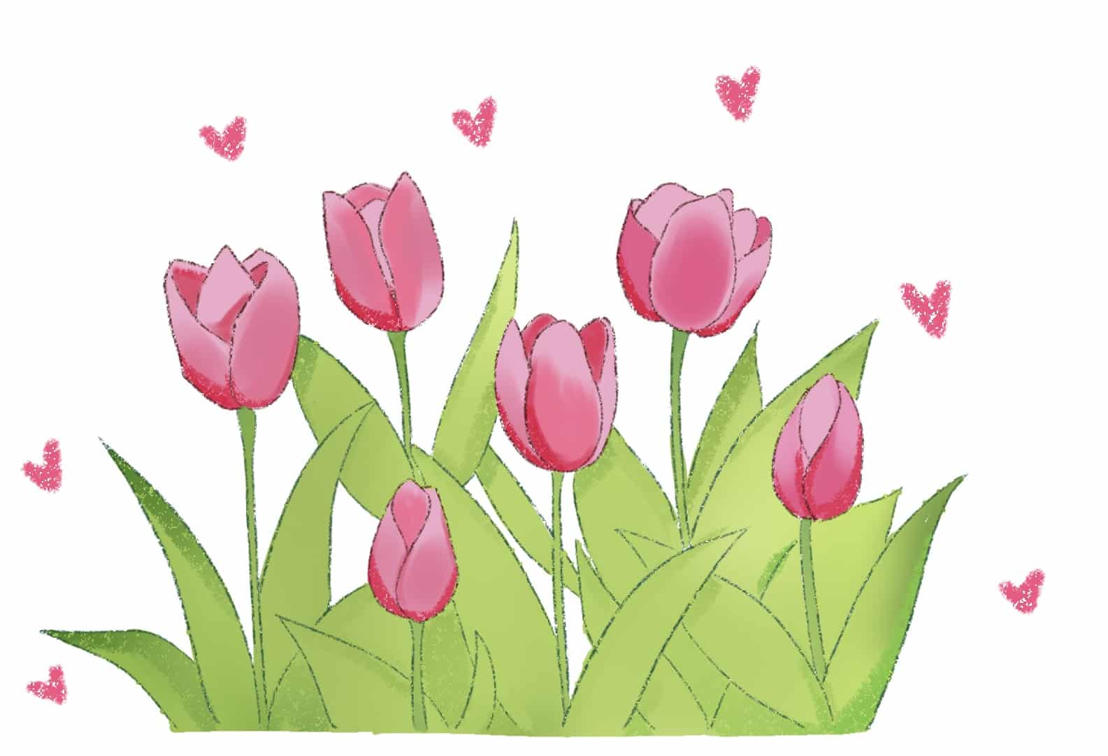dessingb-Fleur-Tulipes