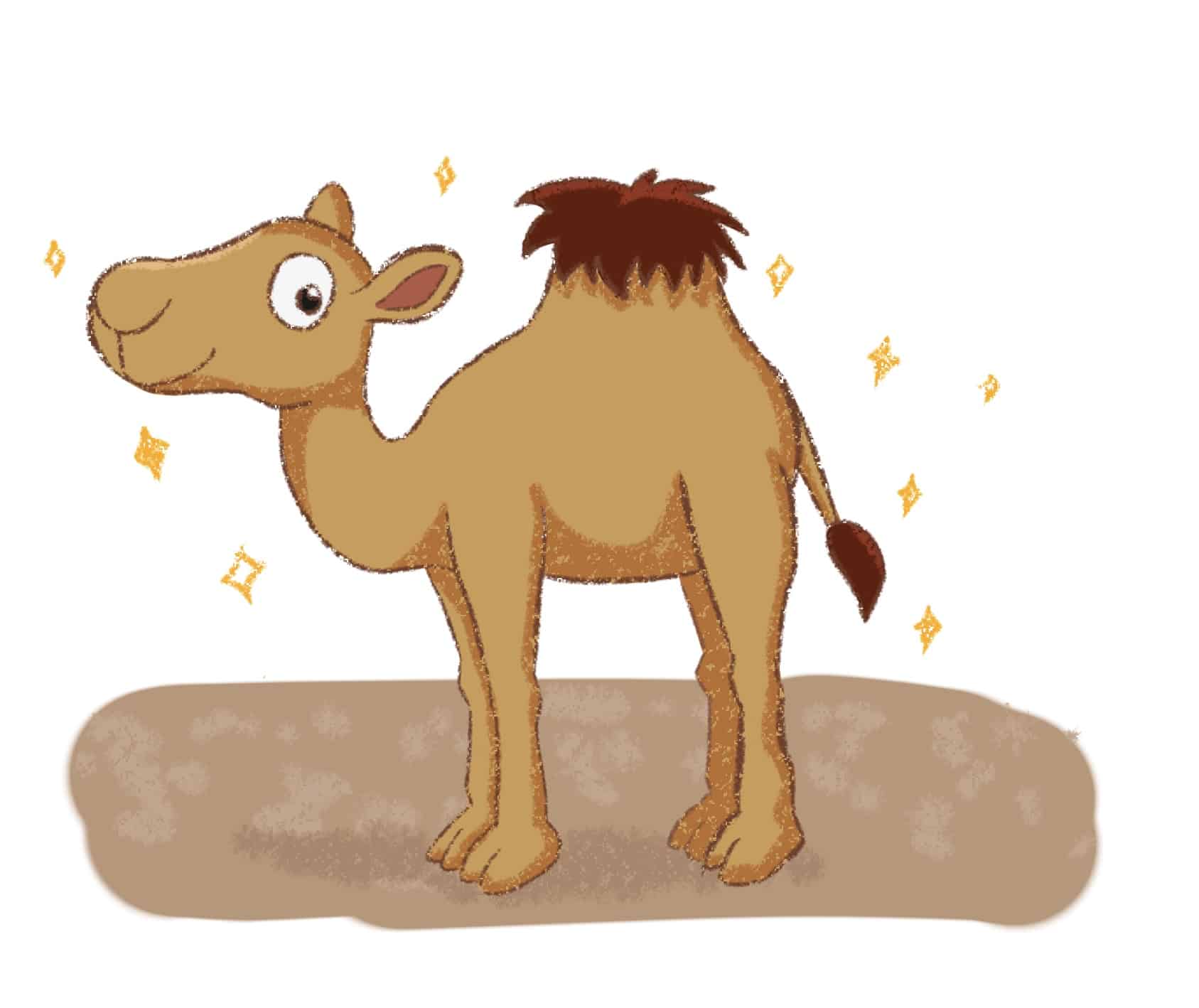 dessingb-dessin-chameau-facile