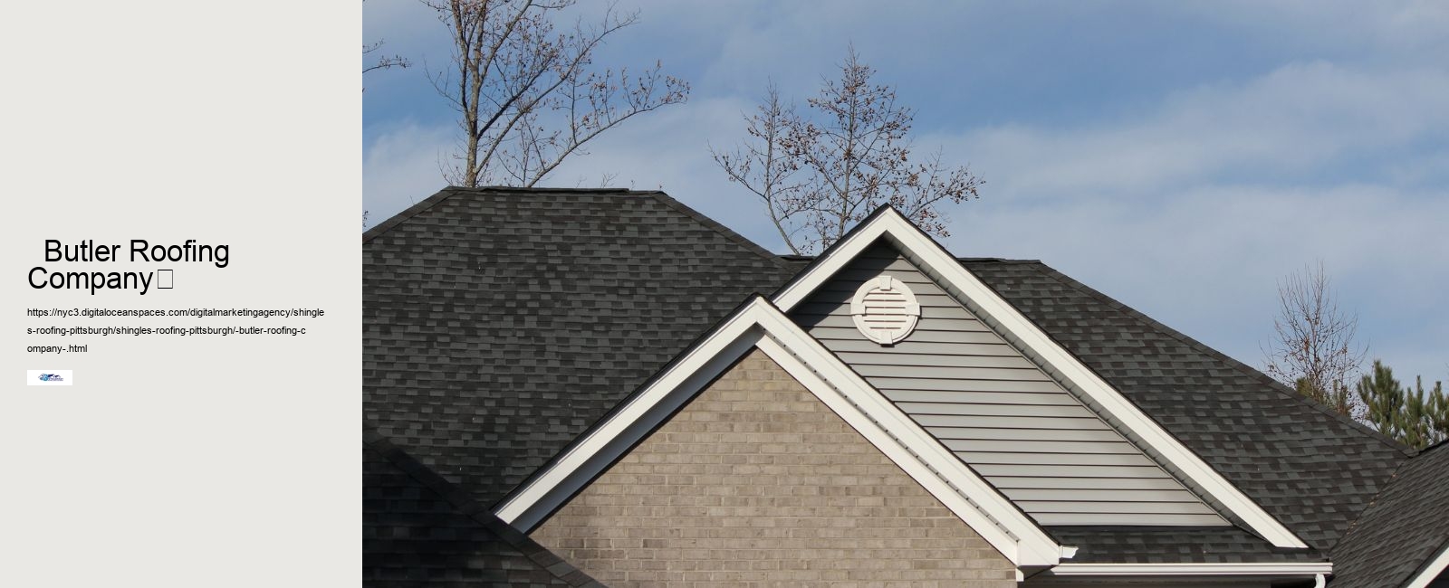   Butler Roofing Company	 