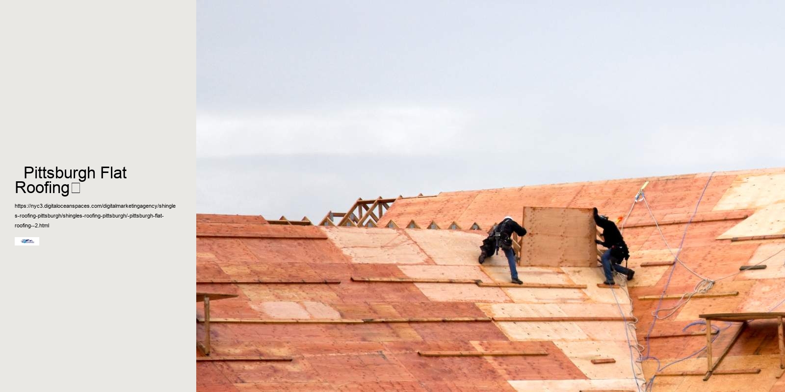   Pittsburgh Flat Roofing	 