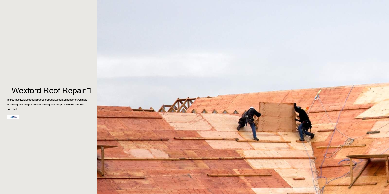   Wexford Roof Repair	 