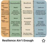 Resilience Ain't Enough+Image