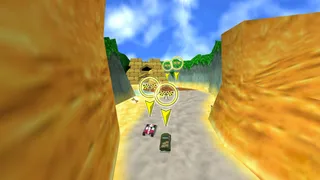 A race happening in Jungle Falls
