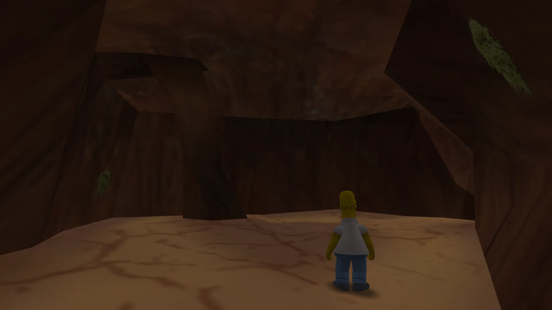 Homer inside the caves