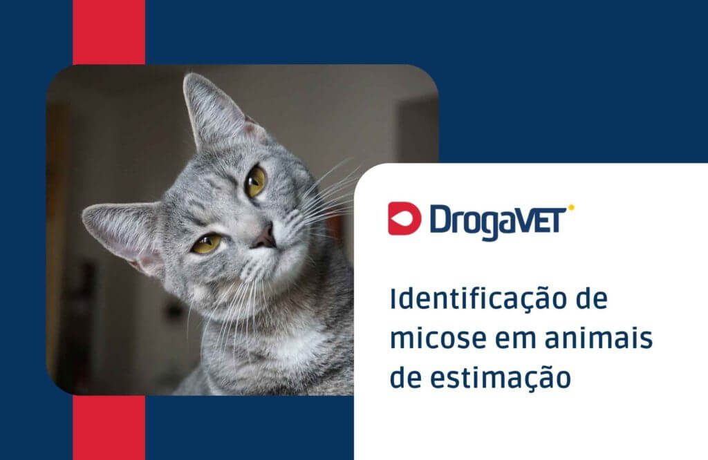 Identificação de micose em animais de estimação