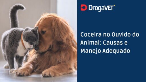 Coceira no Ouvido do Animal: Causas e Manejo Adequado