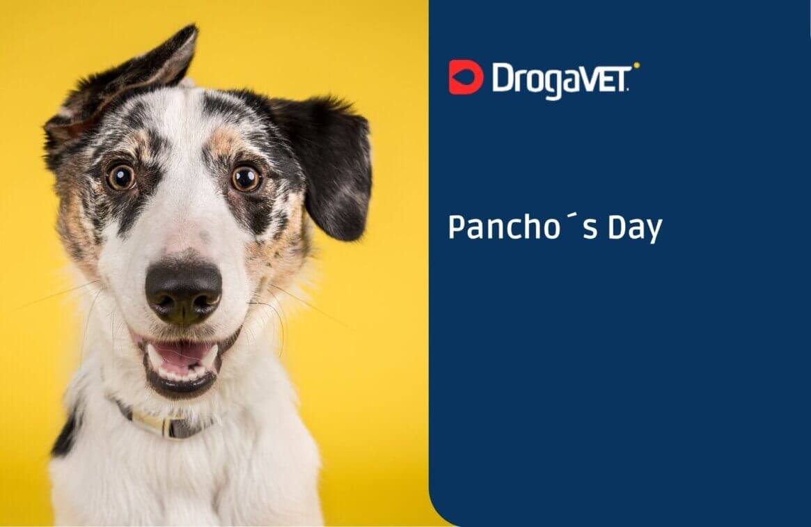Pancho´s Day