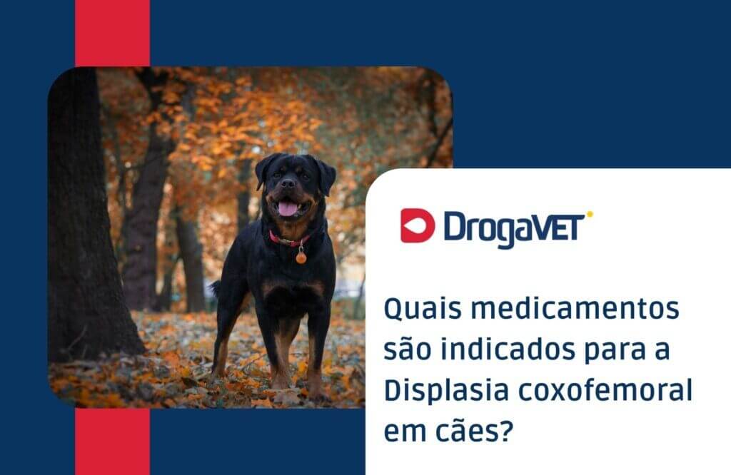 Quais medicamentos são indicados para a Displasia coxofemoral em cães?