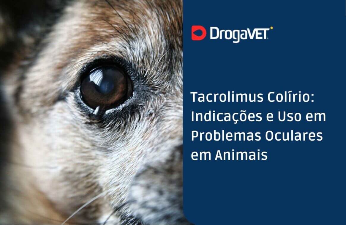 Tacrolimus Colírio Indicações e Uso em Problemas Oculares em Animais