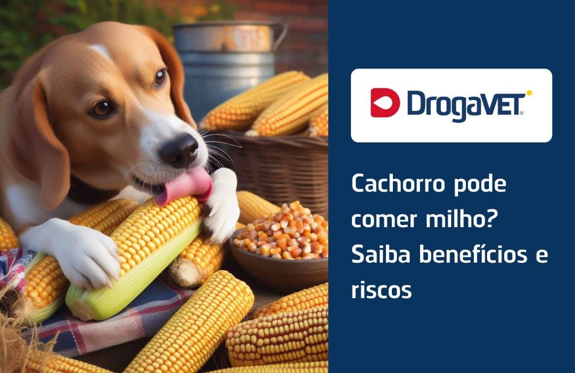 Cachorro pode comer milho