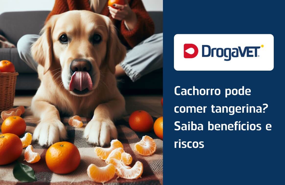 Descubra se é seguro alimentar cachorros com tangerina. Explore os benefícios e riscos dessa fruta para cães e faça escolhas informadas.