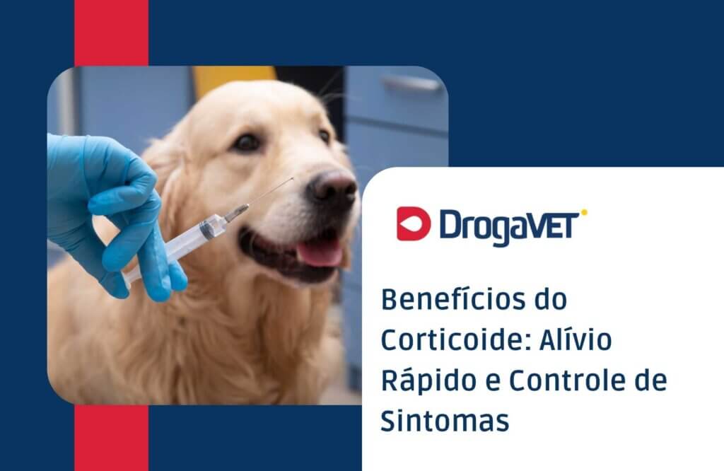 Benefícios do Corticoide Alívio Rápido e Controle de Sintomas