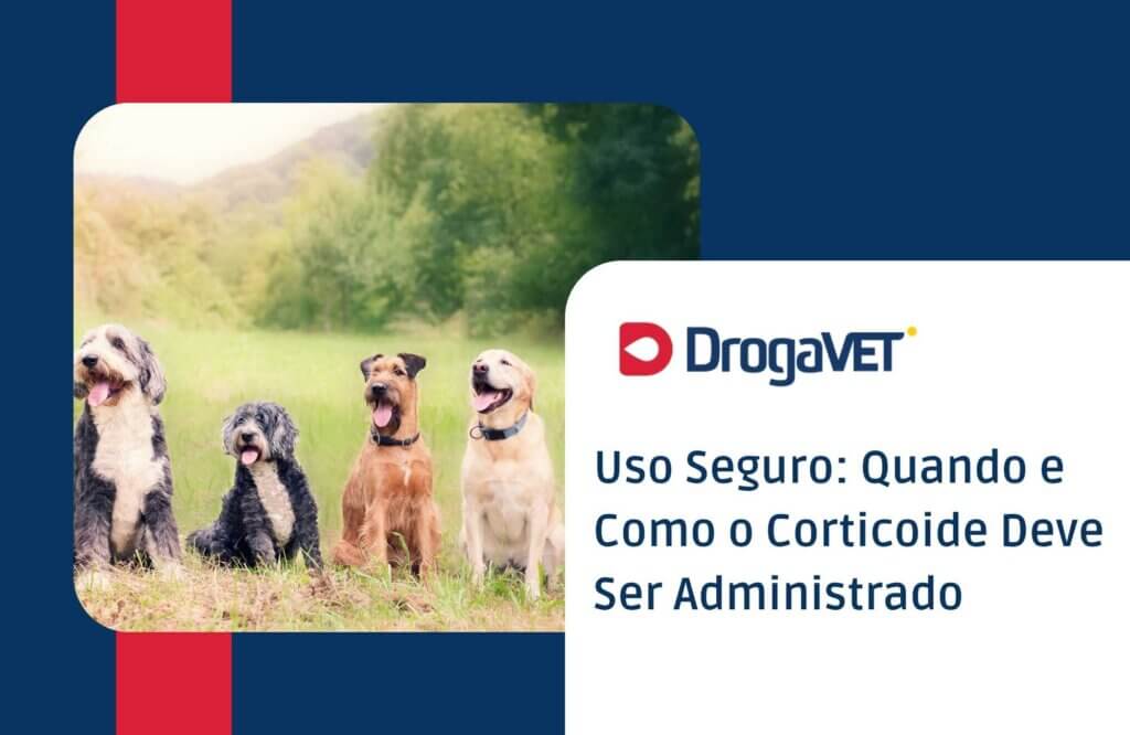 Uso Seguro Quando e Como o Corticoide Deve Ser Administrado