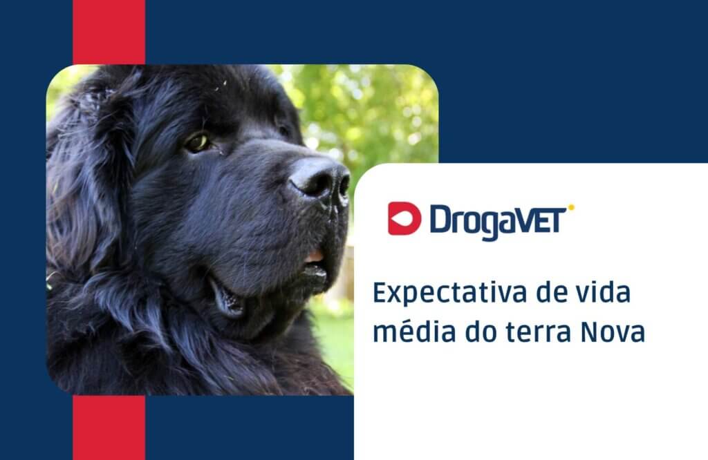 Expectativa de vida média do terra Nova