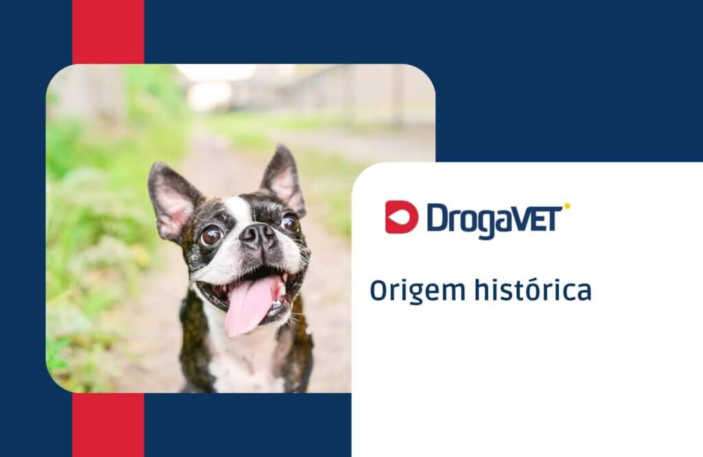 Origem histórica Origem histórica