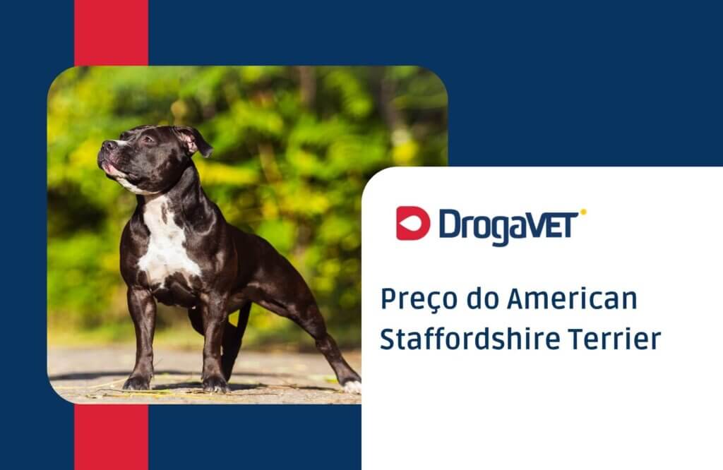 Preço do American Staffordshire Terrier