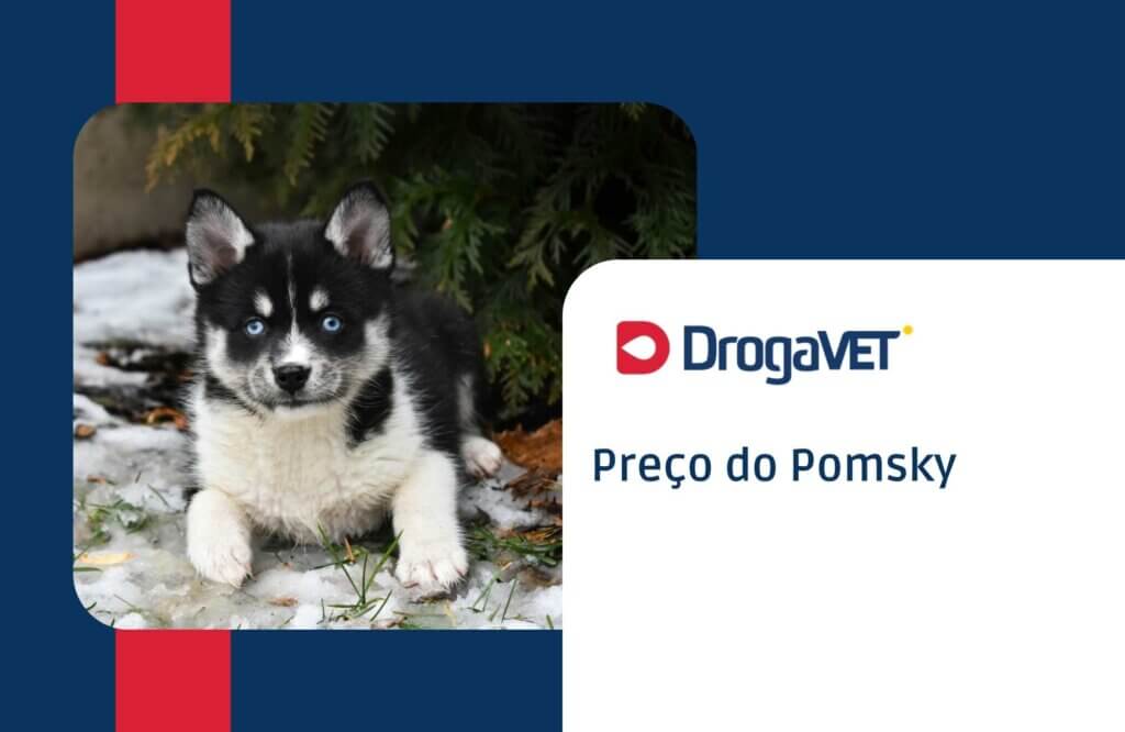 Preço do Pomsky Preço do Pomsky