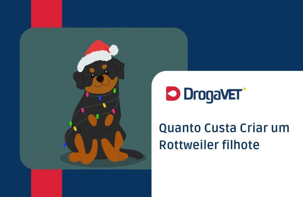 Quanto Custa Criar um Rottweiler filhote
