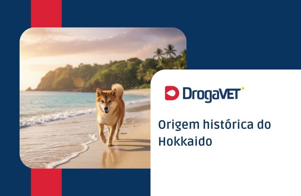 Hokkaido: Saiba mais sobre esta raça de cachorro Origem histórica do Hokkaido