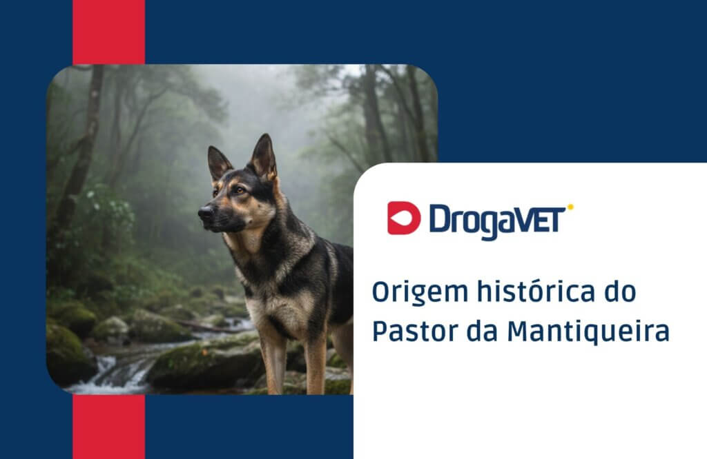 Pastor da Mantiqueira: saiba tudo sobre esta raça de cachorro brasileiro Origem histórica do Pastor da Mantiqueira