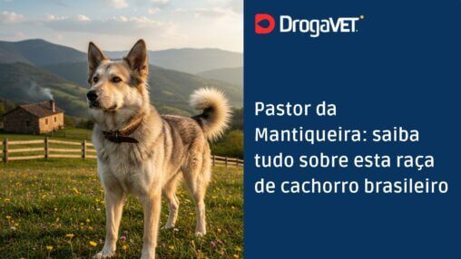 Pastor da Mantiqueira saiba tudo sobre esta raça de cachorro brasileiro