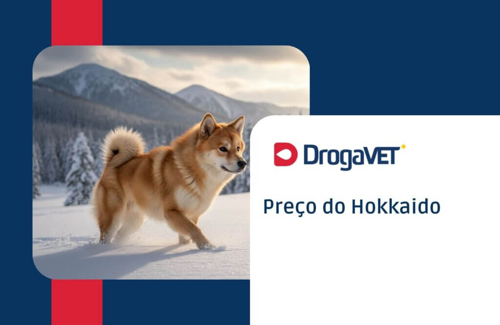 Hokkaido: Saiba mais sobre esta raça de cachorro Preço do Hokkaido