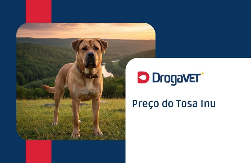 Tosa Inu: Saiba mais sobre esta raça de cachorro Preço do Tosa Inu
