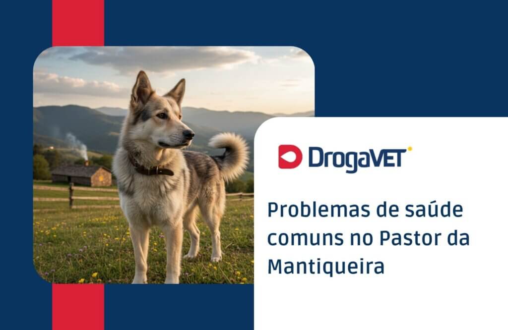 Pastor da Mantiqueira: saiba tudo sobre esta raça de cachorro brasileiro Problemas de saúde comuns no Pastor da Mantiqueira