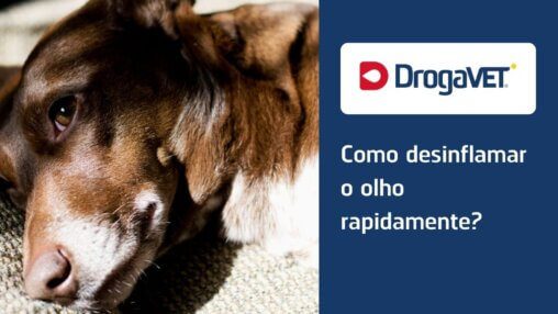 Como desinflamar o olho rapidamente?