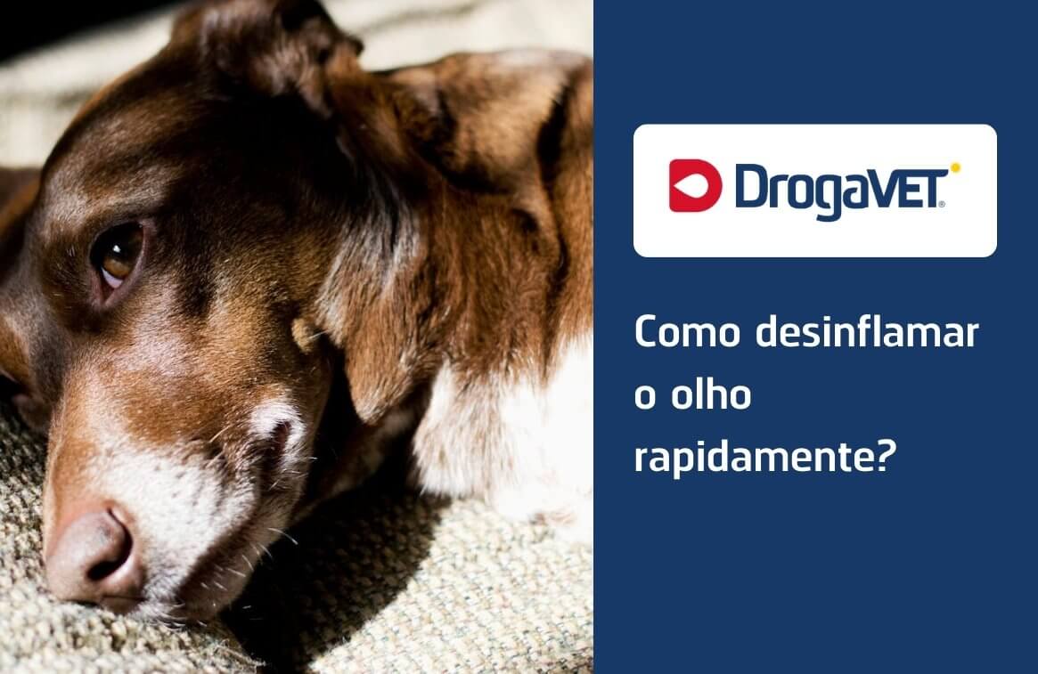 Como desinflamar o olho rapidamente?