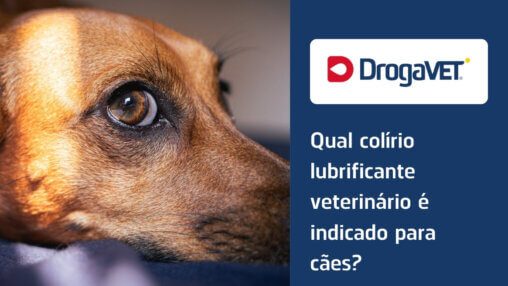 Qual colírio lubrificante veterinário é indicado para cães?
