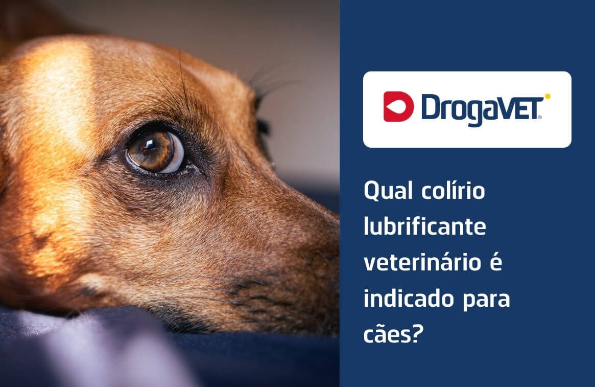 Qual colírio lubrificante veterinário é indicado para cães?