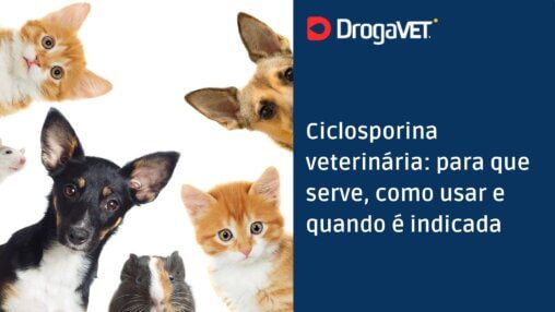 Ciclosporina veterinária para que serve, como usar e quando é indicada