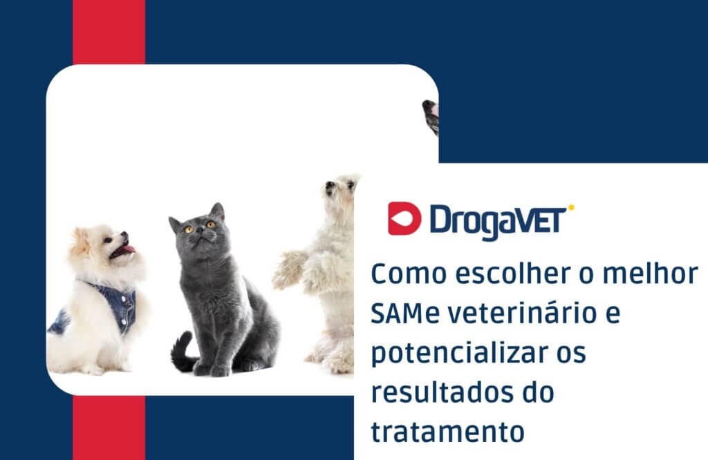 Para que serve SAMe para cães e gatos e como usar com segurança Como escolher o melhor SAMe veterinário e potencializar os resultados do tratamento