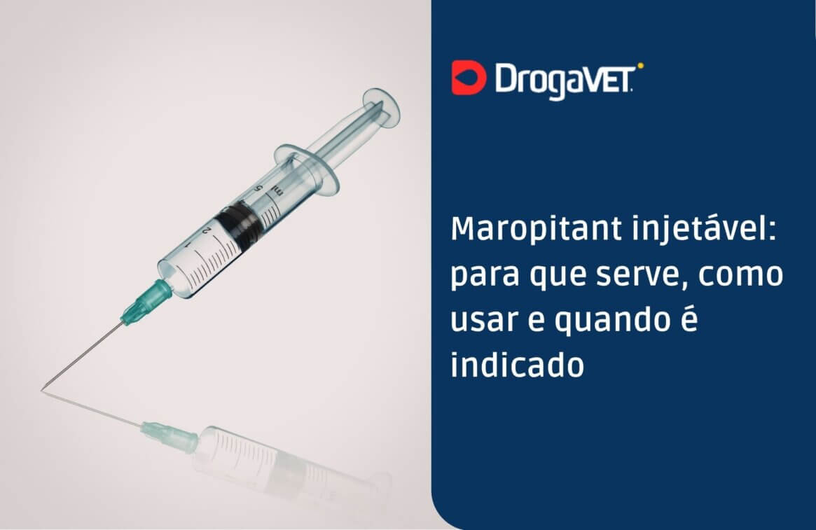 Maropitant injetável para que serve, como usar e quando é indicado