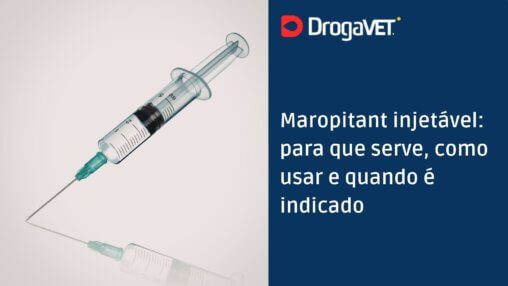 Maropitant injetável para que serve, como usar e quando é indicado