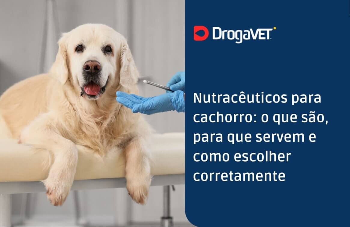 Nutracêuticos para cachorro o que são, para que servem e como escolher corretamente