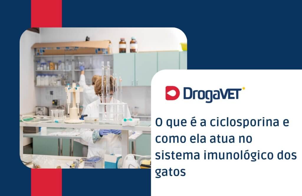 Ciclosporina para gatos: para que serve, como usar e quando é indicada O que é a ciclosporina e como ela atua no sistema imunológico dos gatos