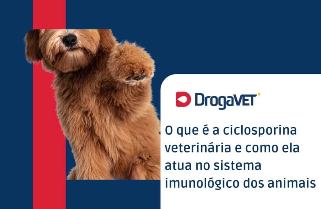O que é a ciclosporina veterinária e como ela atua no sistema imunológico dos animais