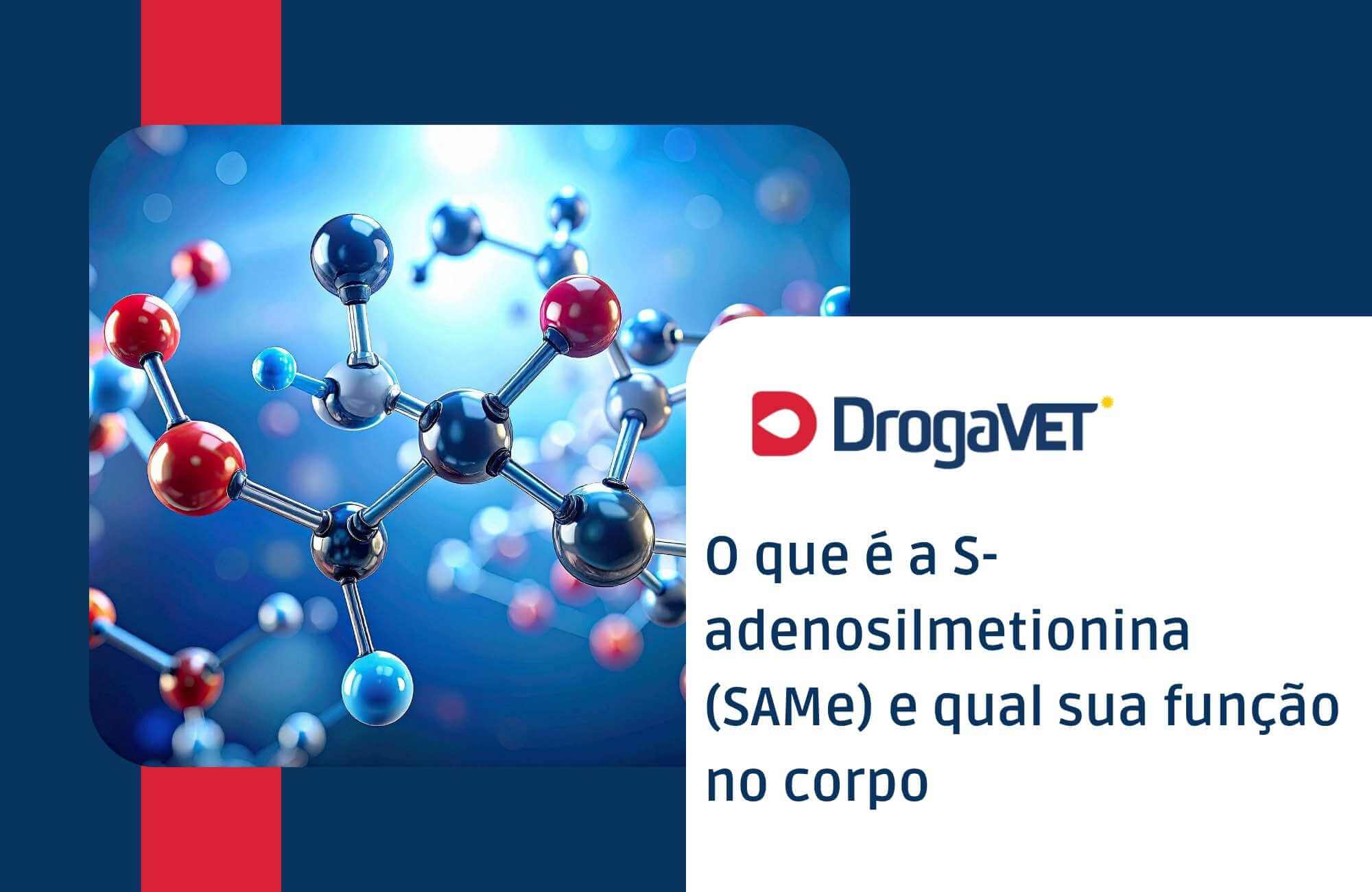 O que é a S-adenosilmetionina (SAMe) e também qual sua função no corpo