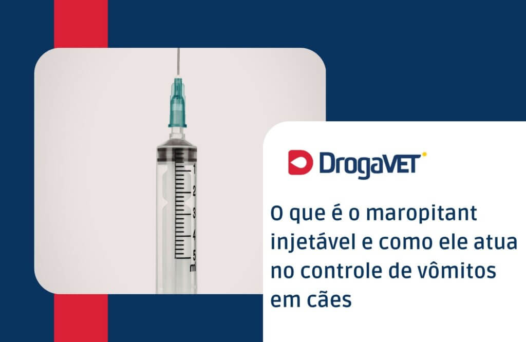 O que é o maropitant injetável e como ele atua no controle de vômitos em cães