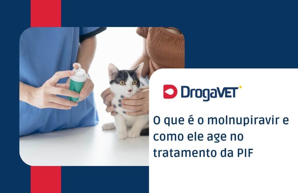 O que é o molnupiravir e como ele age no tratamento da PIF