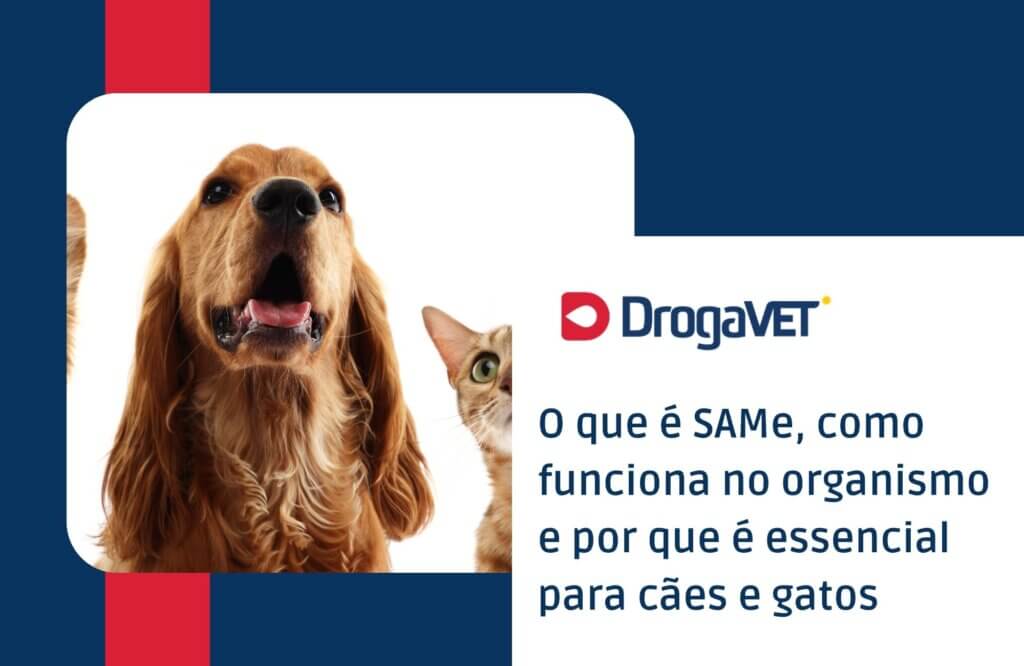 Para que serve SAMe para cães e gatos e como usar com segurança O que é SAMe, como funciona no organismo e por que é essencial para cães e gatos