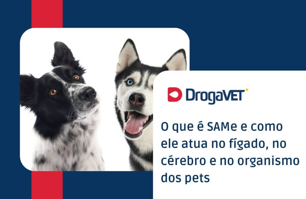 O que é SAMe e como ele atua no fígado, no cérebro e no organismo dos pets