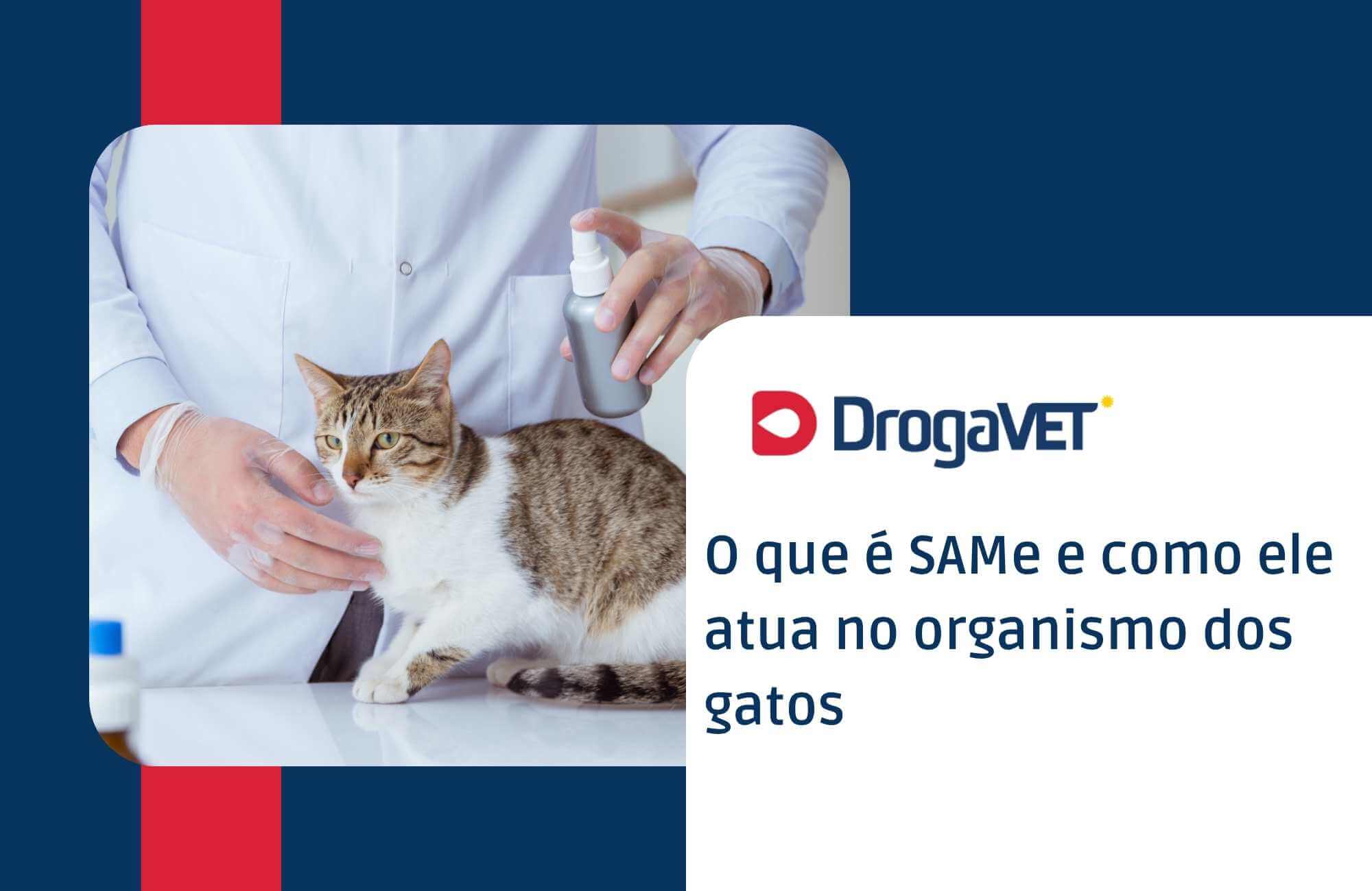 O que é SAMe e como ele atua no organismo dos gatos