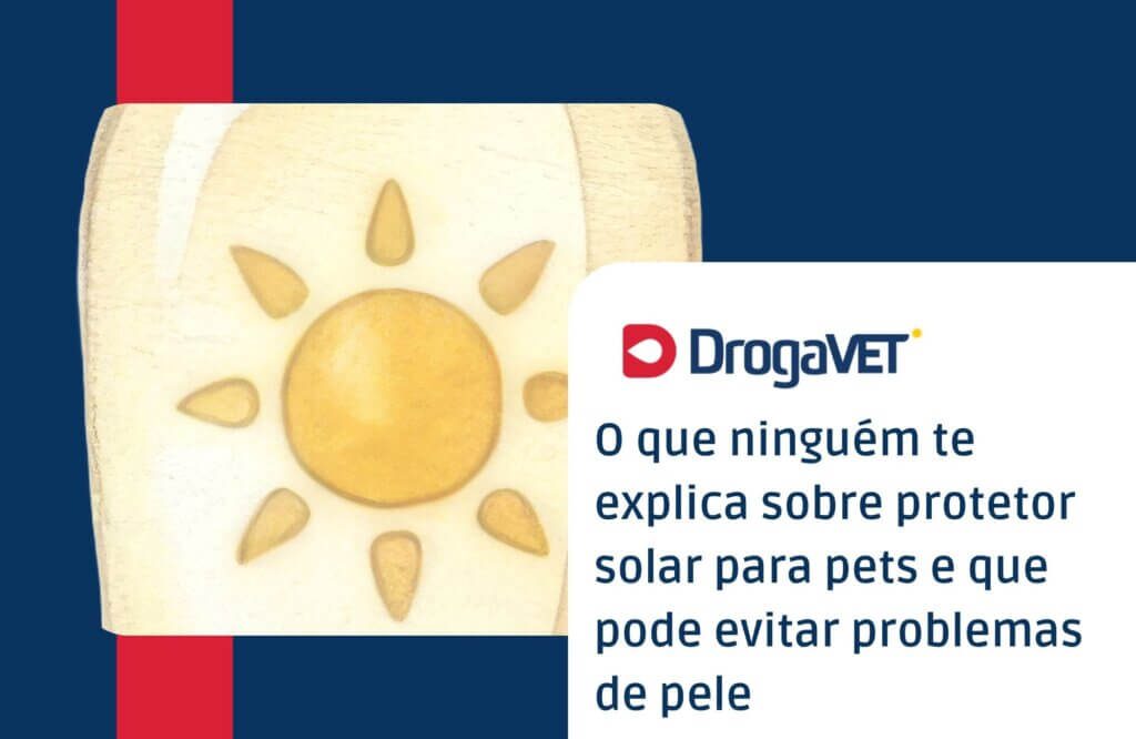 O que ninguém te explica sobre protetor solar para pets e que pode evitar problemas de pele