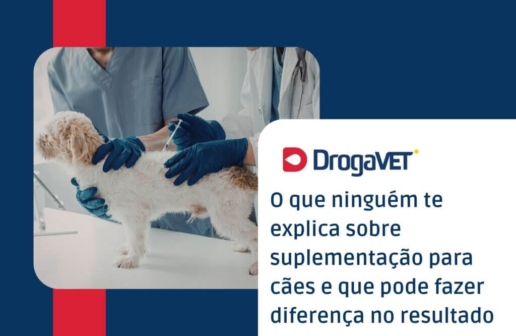 O que ninguém te explica sobre suplementação para cães e que pode fazer diferença no resultado